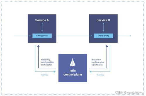 Istio學(xué)習(xí)筆記 服務(wù)網(wǎng)格在信息系統(tǒng)運行維護服務(wù)中的應(yīng)用與實踐